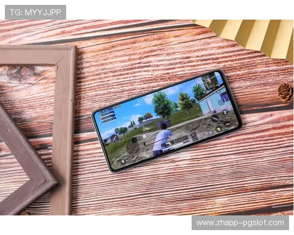 《遗骸游戏手机版是否需要联网才能畅玩详细解析》